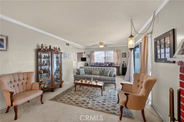 10928 Jamie photo 15