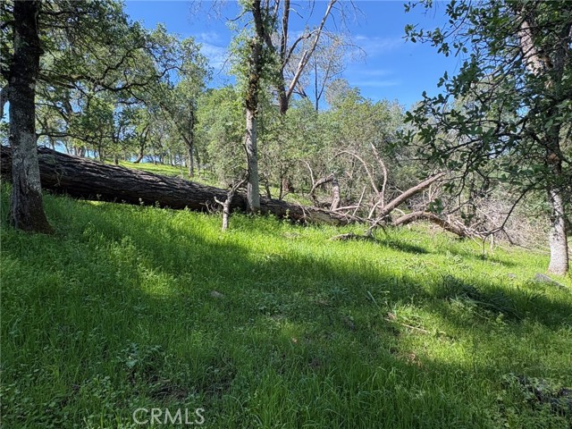 Detail Gallery Image 16 of 26 For 3465 Foothill Bld, Oroville,  CA 95966 - – Beds | – Baths