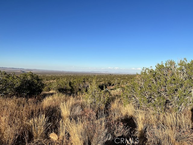 Detail Gallery Image 65 of 75 For 0 Vac/Vic Avenue Z/Vic 195 Ste, Llano,  CA 93544 - – Beds | – Baths