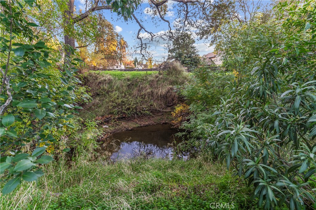 MLS #FR25264092 image #27