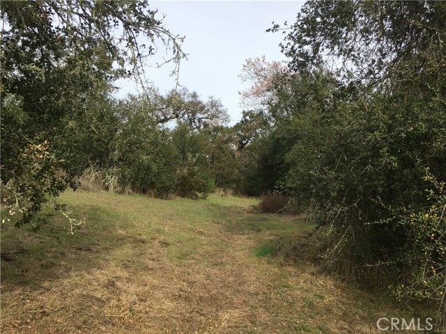 19879 Tenaja Road, Murrieta, California 92562, ,Land,For Sale,19879 Tenaja Road,CRSW22195708