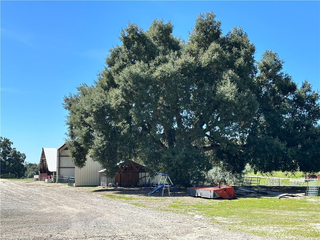 MLS #PI25023420 image #8