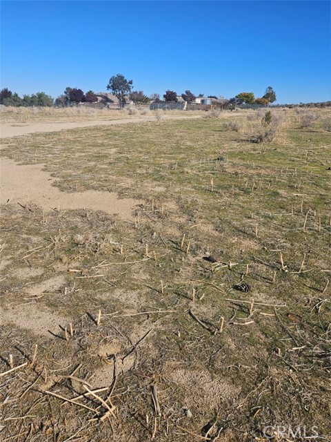 Front Image Thumbnail for CRSR25275218