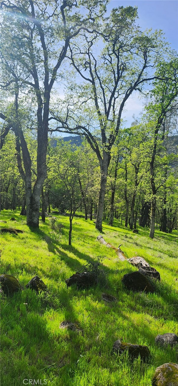 Detail Gallery Image 14 of 23 For 13566 Helltown Parcel 1, Chico,  CA 95928 - – Beds | – Baths