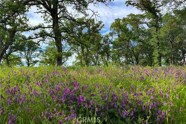 Detail Gallery Image 20 of 26 For 16475 River Heights Dr, Red Bluff,  CA 96080 - – Beds | – Baths