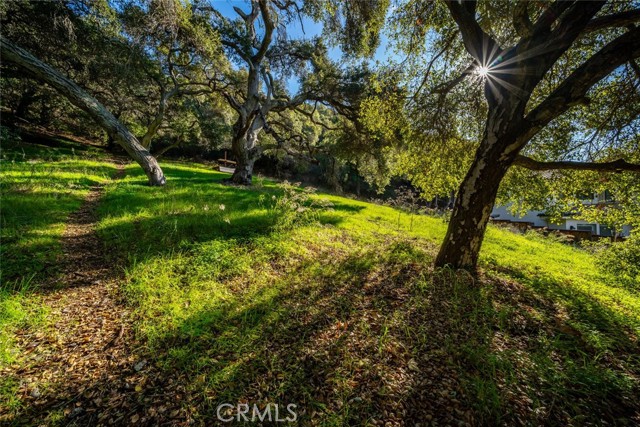 Detail Gallery Image 9 of 21 For 2171 San Luis Dr, San Luis Obispo,  CA 93401 - – Beds | – Baths