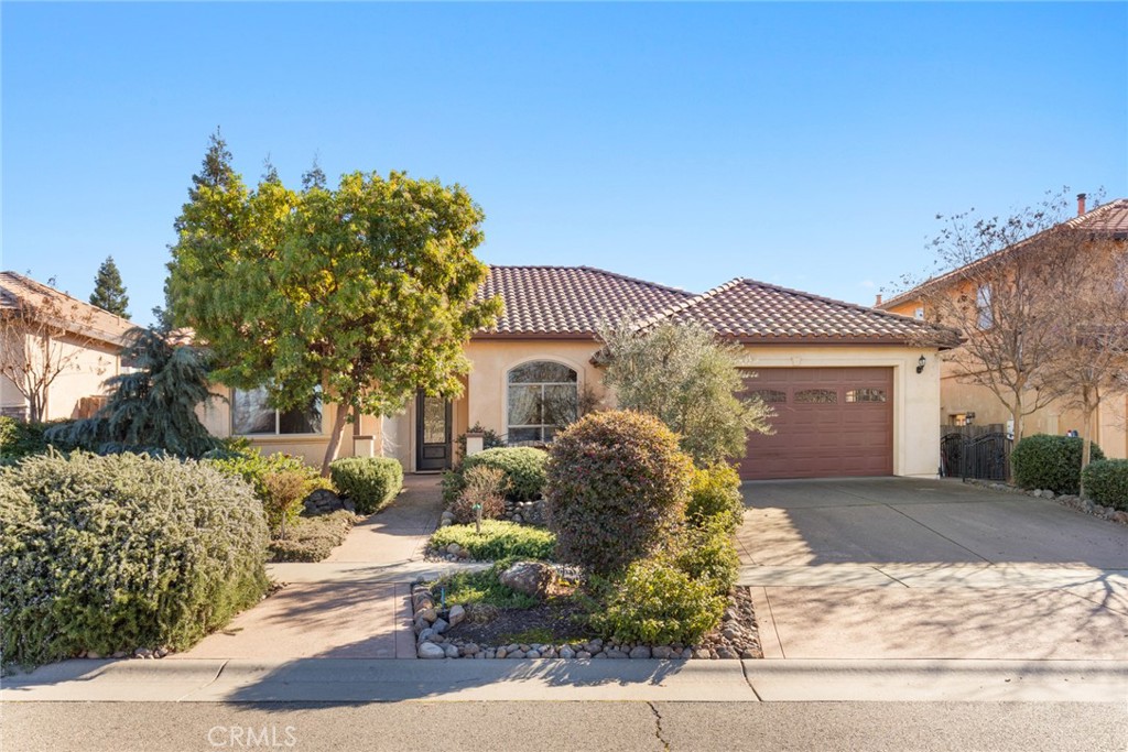 1941 Preservation Oak