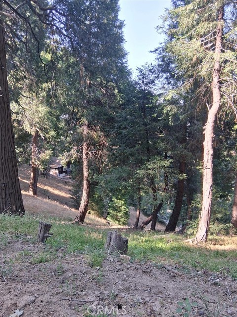 61 Evergreen Drive, Cedarpines Park CA: https://media.crmls.org/medias/0c5c53ea-ac5d-4923-a821-4f3194a2a1b9.jpg