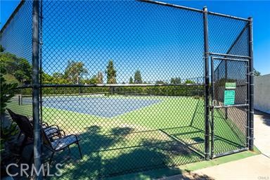 Two Tennis Courts