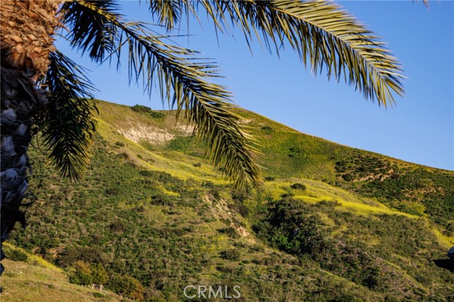 Detail Gallery Image 57 of 71 For 170 Leafy Pass, Irvine,  CA 92602 - 5 Beds | 5/1 Baths