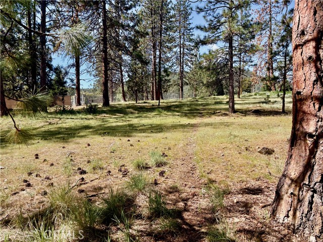 Image 8 of 54 For 0 S Lang Way