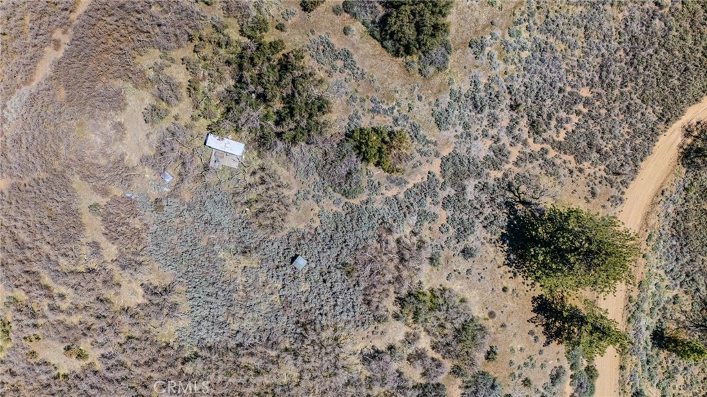 MLS #PI25088989 img 2