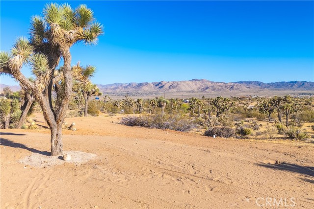 Detail Gallery Image 51 of 75 For 58871 Meredith Ct, Yucca Valley,  CA 92284 - 3 Beds | 2 Baths