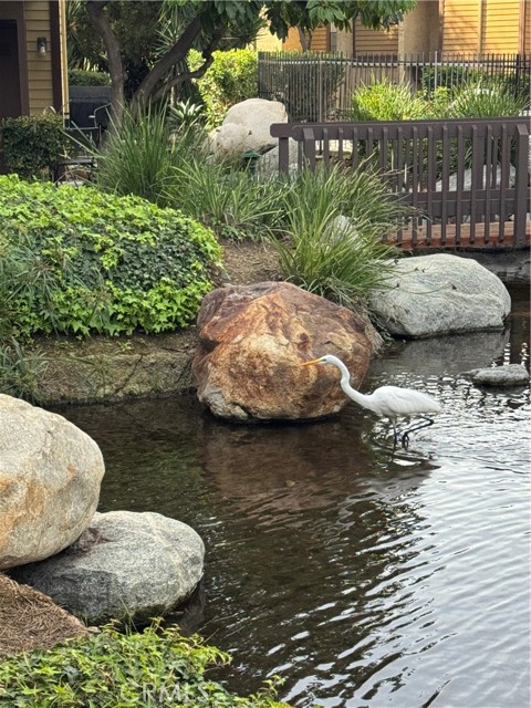 Detail Gallery Image 51 of 62 For 4140 Workman Mill #253,  Whittier,  CA 90601 - 2 Beds | 1/1 Baths