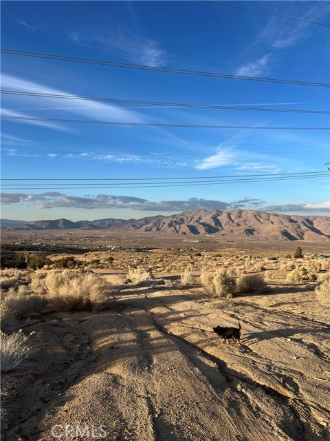 26626 Hazel, Apple Valley, CA, 92308 26626 Hazel, Apple Valley, CA, 92308