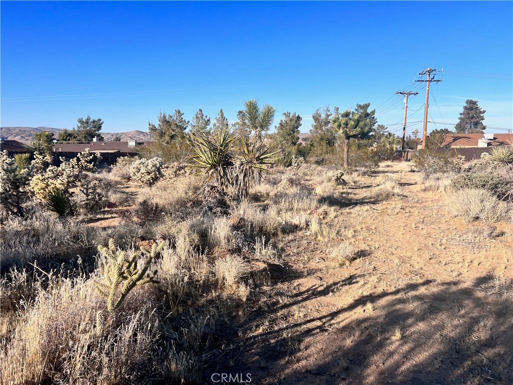 MLS #JT25185661 image #13