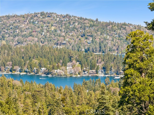 Detail Gallery Image 68 of 69 For 840 Coyote Walk, Lake Arrowhead,  CA 92352 - 4 Beds | 3 Baths