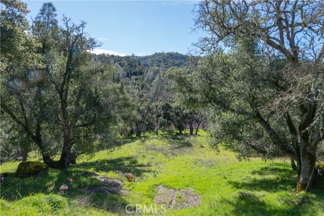 14615 Chimney Rock Road, Paso Robles, California 93446, 2 Bedrooms Bedrooms, ,1 BathroomBathrooms,Residential,For Sale,14615 Chimney Rock Road,CRNS24045627