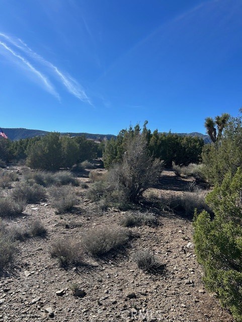 Detail Gallery Image 2 of 11 For 0 Sky Line Dr, Pinon Hills,  CA 92372 - – Beds | – Baths