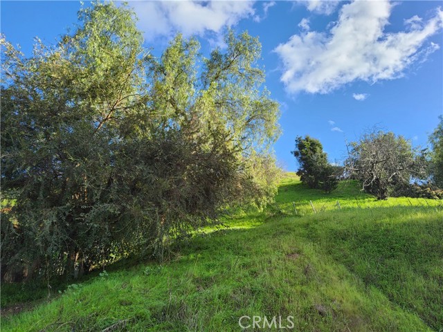 2931 Thomas Street, Los Angeles, California 90031, ,Land,For Sale,2931 Thomas Street,CRPW24023934