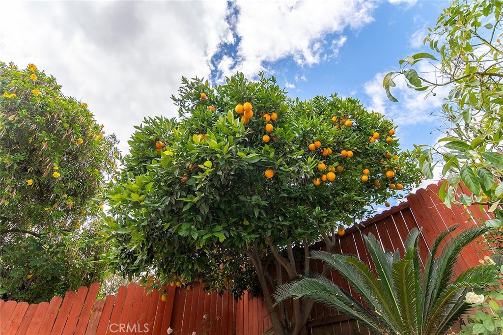 https://media.crmls.org/medias/0ca8fcdc-d710-4136-8f8d-c57d11c87ba1.jpg?preset=X-Large