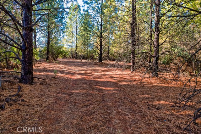 Detail Gallery Image 17 of 38 For 8946 Highway 175, Kelseyville,  CA 95451 - 2 Beds | 1 Baths