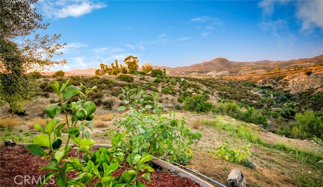 Detail Gallery Image 25 of 25 For 40646 E Benton Rd, Hemet,  CA 92544 - 3 Beds | 2 Baths