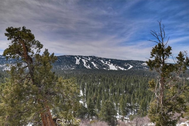 Detail Gallery Image 56 of 75 For 42545 Pegasus, Big Bear Lake,  CA 92315 - 5 Beds | 4 Baths