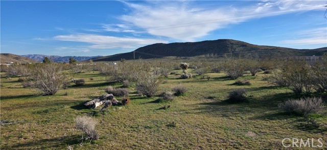 Detail Gallery Image 7 of 19 For 59787 Sharp Terrace, Yucca Valley,  CA 92284 - – Beds | – Baths