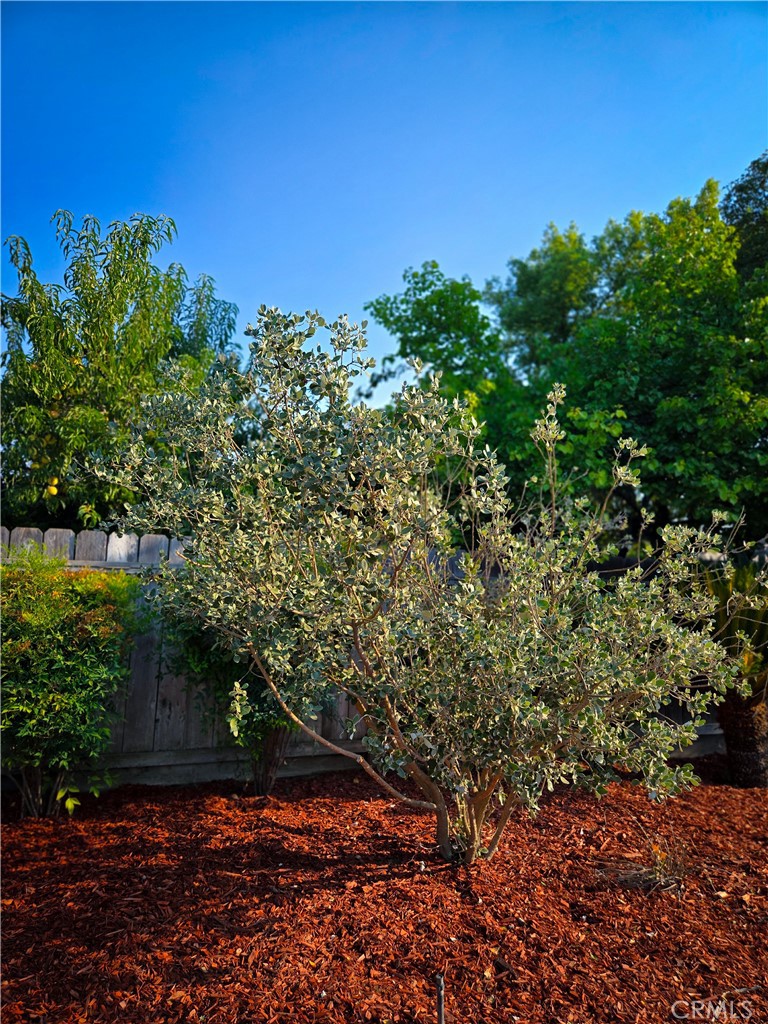 https://media.crmls.org/medias/0caec119-a4b6-48b3-b4c4-ffc817293a14.jpg?preset=X-Large