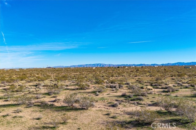 Detail Gallery Image 39 of 50 For 437 Mallow Rd, Landers,  CA 92285 - 0 Beds | 1 Baths