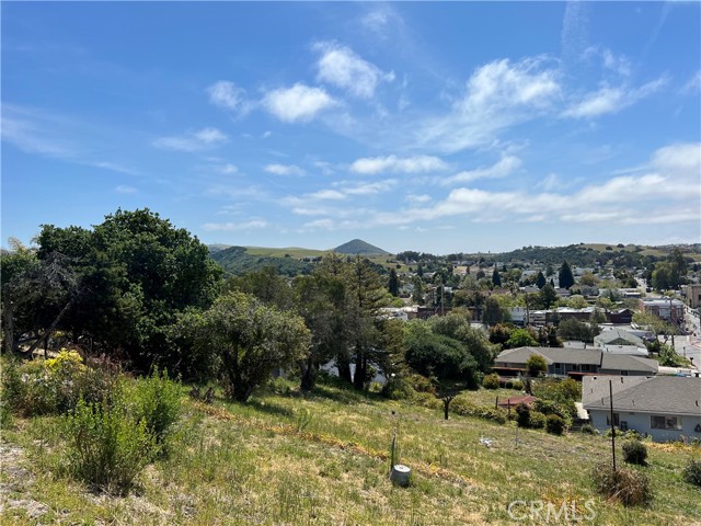 105 Le Point Street, Arroyo Grande, California 93420, 2 Bedrooms Bedrooms, ,1 BathroomBathrooms,Residential,For Sale,105 Le Point Street,CRPI23075722