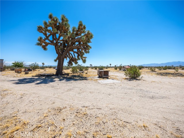 7698 Auburn Road, Adelanto, California 92301, 2 Bedrooms Bedrooms, ,1 BathroomBathrooms,Single Family Residence,For Sale,Auburn,HD23166012