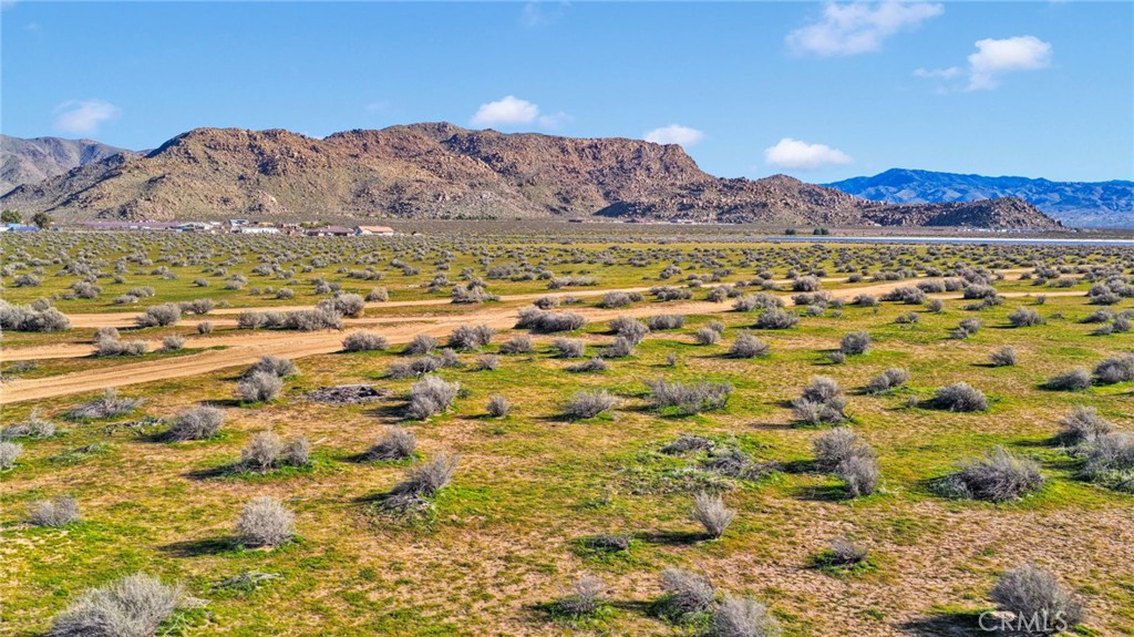 MLS #HD25251197 image #12