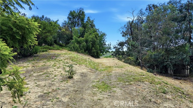 Detail Gallery Image 16 of 19 For 0 Santa Maria Rd, Topanga,  CA 90290 - – Beds | – Baths