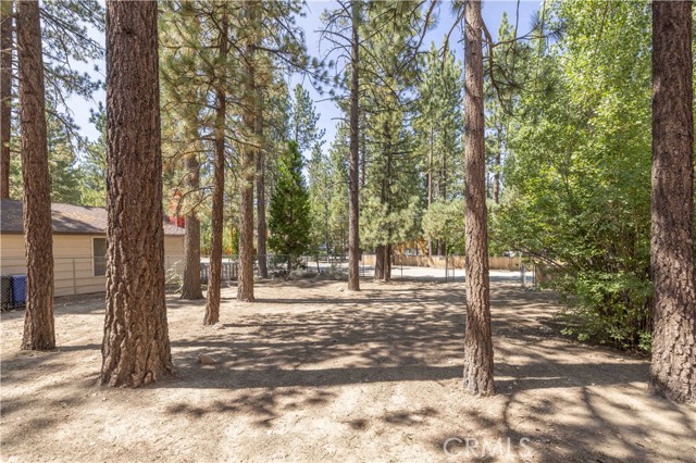 Detail Gallery Image 2 of 25 For 924 W Rainbow Bld, Big Bear City,  CA 92314 - 2 Beds | 1 Baths