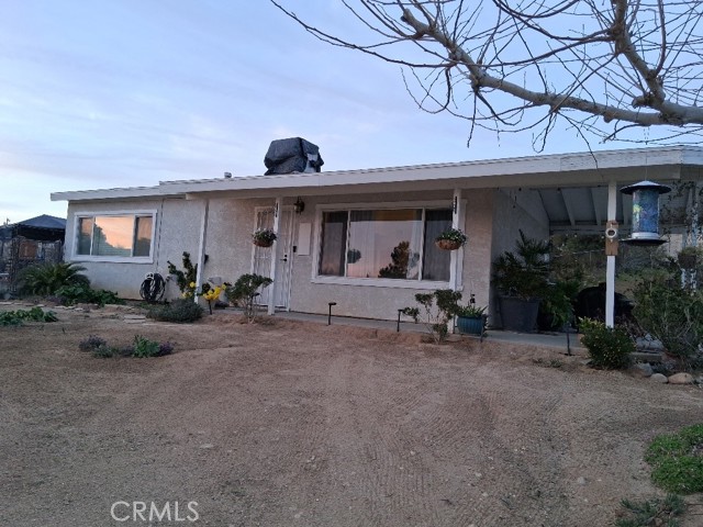 Front Image Thumbnail for CROC26033557