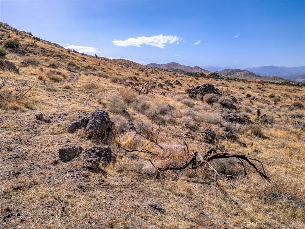 MLS #JT25046600 image #20