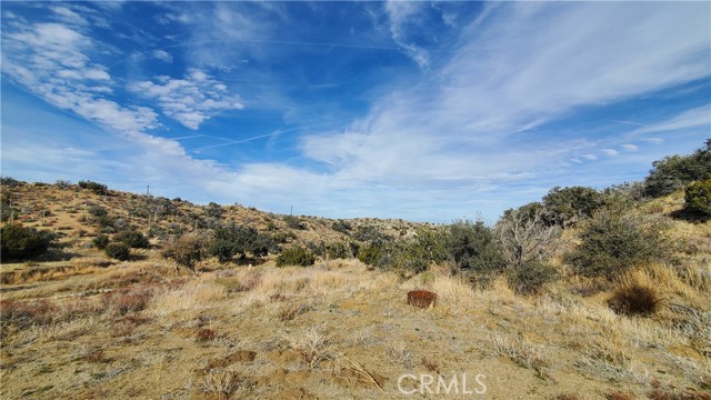 MLS #SR25242278 image #40