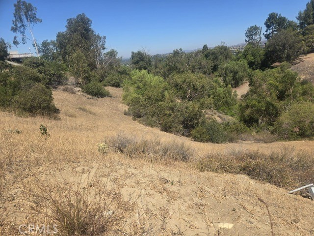 309 PENNY Lane, Anaheim Hills CA: https://media.crmls.org/medias/0ccb792f-7f98-4c8f-a5eb-a9172784a3e9.jpg