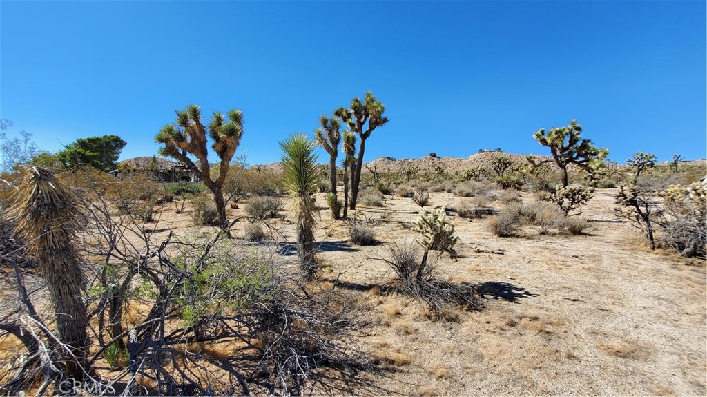 MLS #JT25207371 image #2