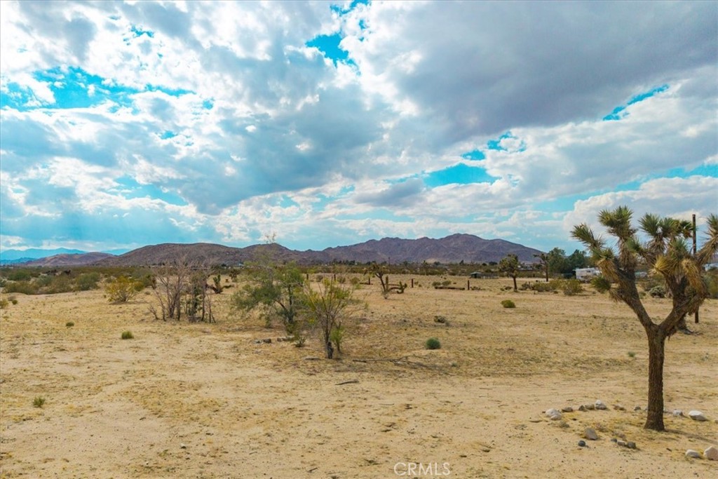 MLS #JT25101611 image #6