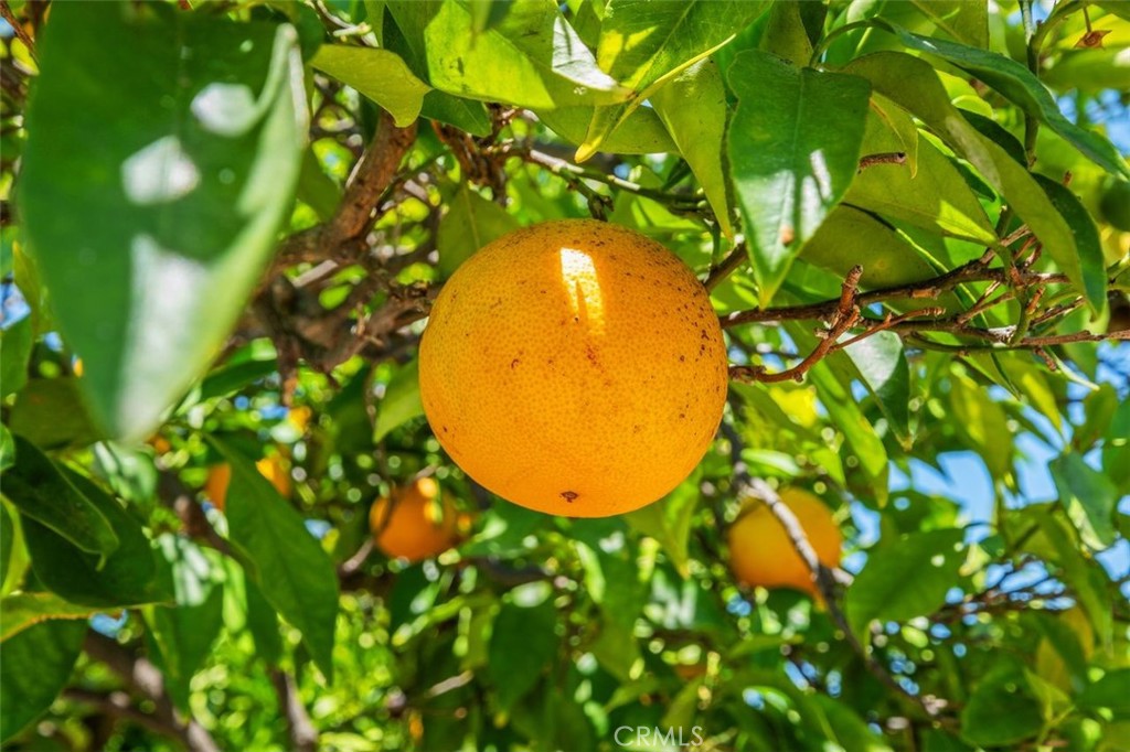 https://media.crmls.org/medias/0cd55ddf-80ef-4289-8d4c-f50136ed96fc.jpg?preset=X-Large