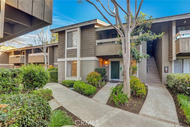 Front Image Thumbnail for CROC26052531