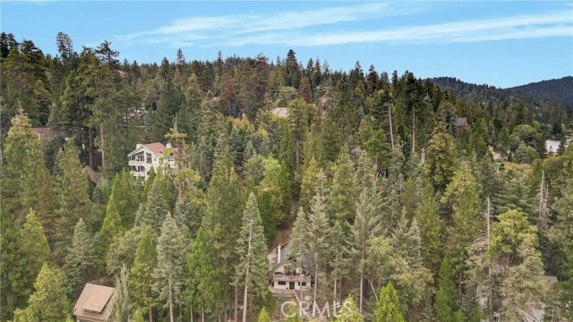 875 Brentwood Drive, Lake Arrowhead CA: https://media.crmls.org/medias/0cd8a1ba-b6e6-47c8-b36f-2c6280c79909.jpg