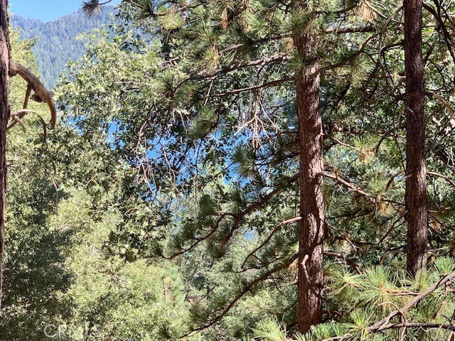 0 West Shore, Lake Arrowhead, CA, 92352 0 West Shore, Lake Arrowhead, CA, 92352