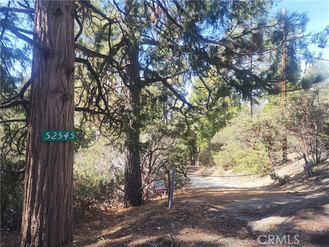 52547 Pine Cove Rd, Idyllwild, CA 92549