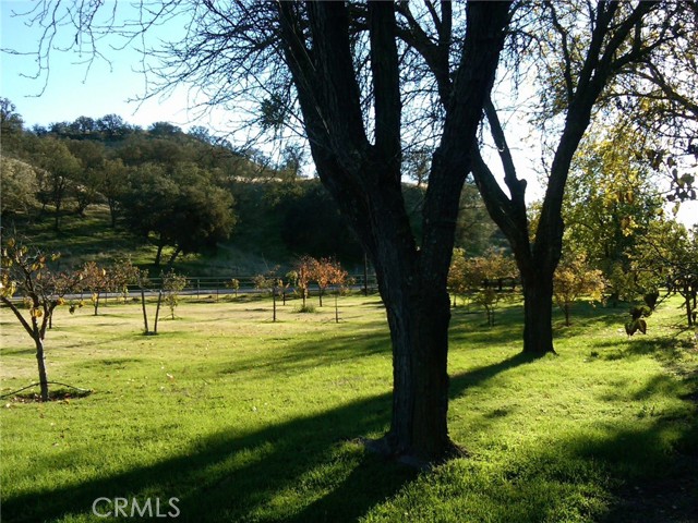 Image 27 of 59 For 3470 Ranchita Cyn Rd