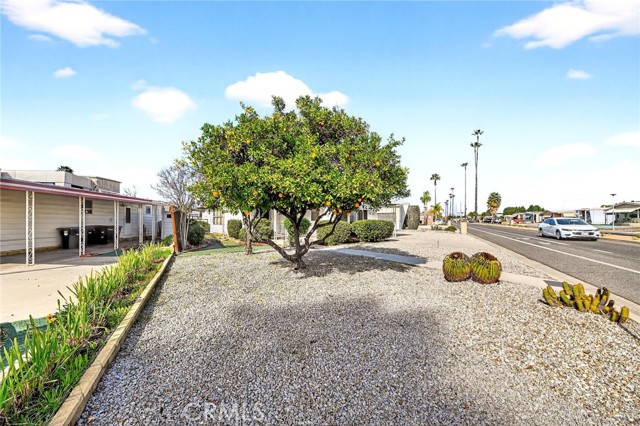 Image 2 of 18 For 893 Palm Avenue