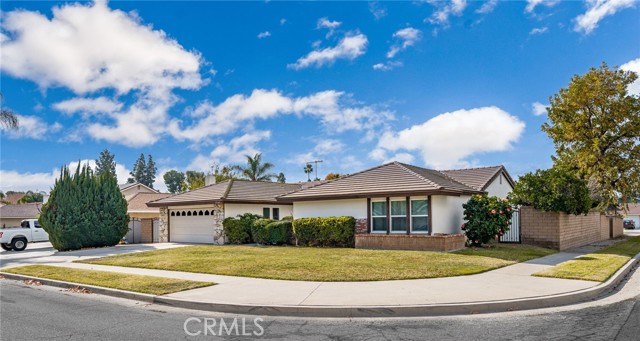 Located in a highly sought after Placentia neighborhood, this sprawling 5 bedroom single level pool home offers a rarely available interior tract corner lot location.  Sitting on 8,000SF, this 2,050SF home is poised to be a tremendous opportunity for the new home owner.  An upgraded tile roof as well as newly installed windows and sliding glass doors are a welcome beginning to what will undoubtedly be an amazing remodeled home in the near future.  Having been loved for many years by the previous owner, it is clear that this home has been cared for by how pristine the original materials used in construction have even maintained.  The retro mid century entry double doors lead you immediately into the heart of this home in the formal living room.  From this vantage point you can view the in ground swimming pool, covered patio area and easily flow right into the family room/den.  Adjacent to the kitchen, this great room also provides a sliding door to the back patio as well as a floor to ceiling fireplace and pass-through bar top into the kitchen.  A formal dining room located between the kitchen and entry way offers an ideal location to entertain and currently features a mural of a European Castle and mountain scape that is sure to be a conversation piece.  5 ample sized bedrooms are located on the North end of the home and can be completely closed off from guests while entertaining.  The primary bedroom enjoys an ensuite bathroom, duel closets and tons of space in a formal dressing area.  All 4 remaining bedrooms each have their own character including wall mounted sconces, floor to ceiling east facing windows, ceiling fans and one even opens to the guest bathroom providing an ideal guest bedroom or home office location.  Mature fruit trees, flowering plants and tropical foliage all combine to bring a sense of serenity to this home at every angle.  Award winning elementary, middle and high schools are all in very close proximity and world class dining and entertainment are just a few miles away.  This home truly enjoys the best of the Southern California lifestyle while providing the quaint small town charm that Placentia is known and loved for.